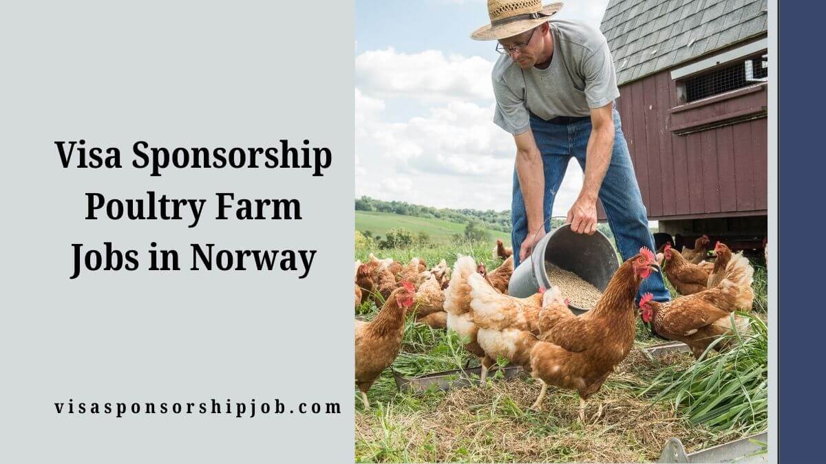 Visa Sponsorship Poultry Farm Jobs in Norway