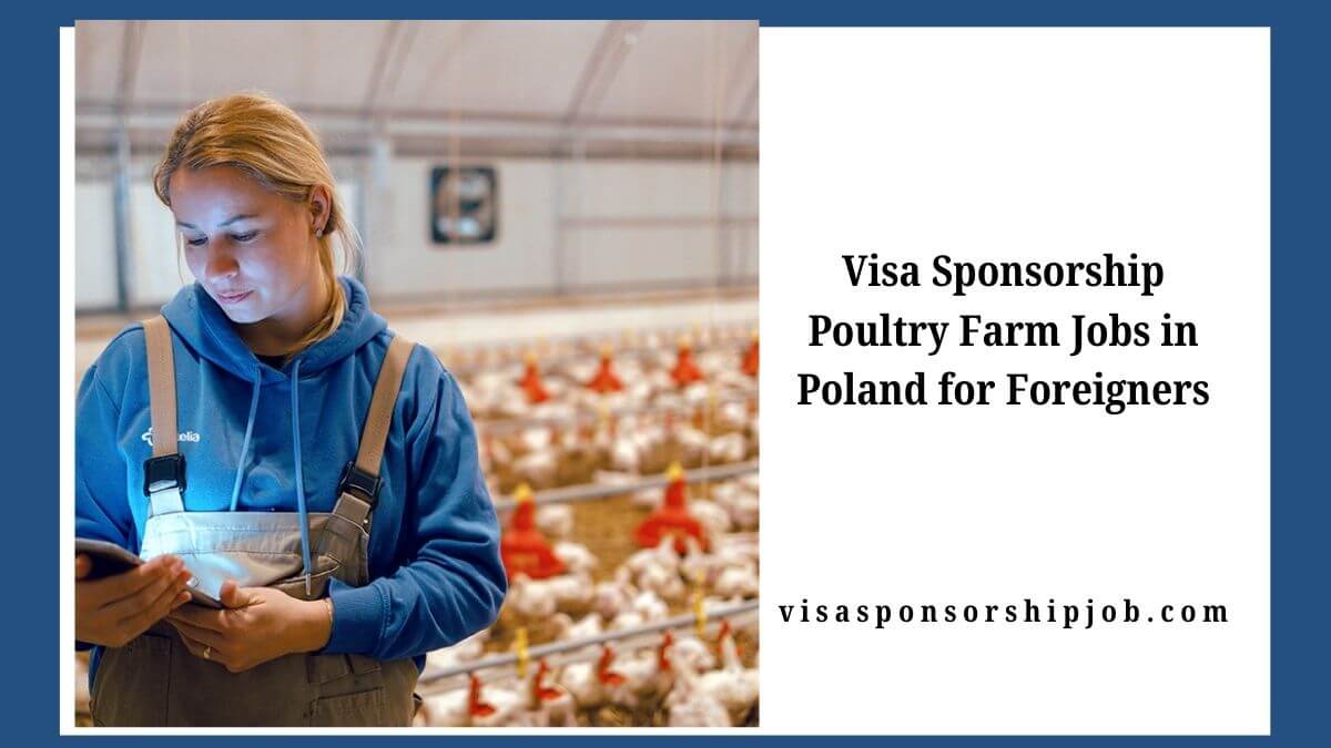 Visa Sponsorship Poultry Farm Jobs in Poland for Foreigners