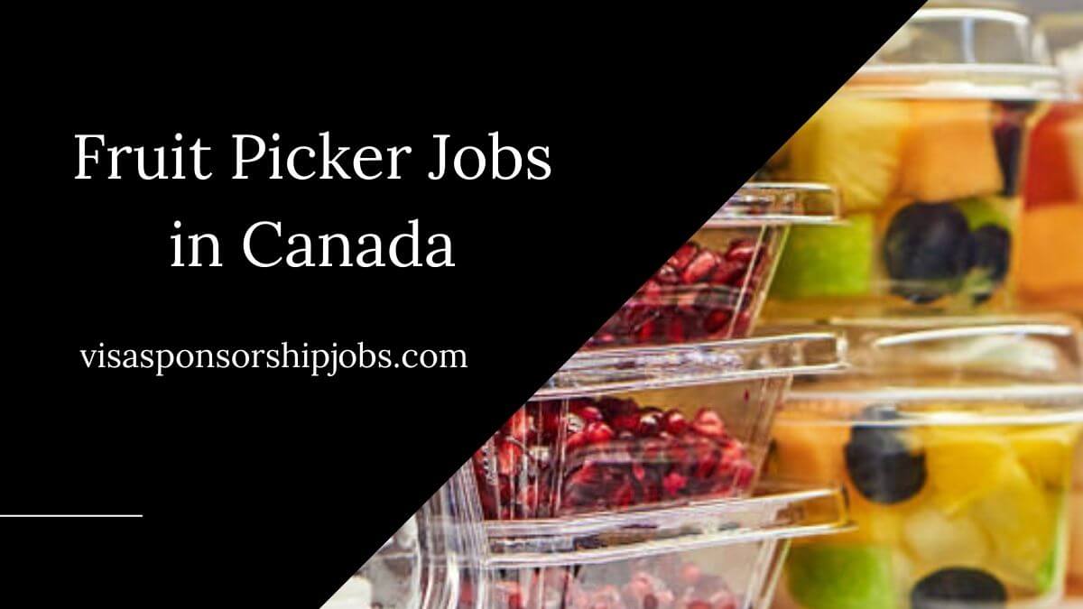 Fruit Picker Jobs in Canada