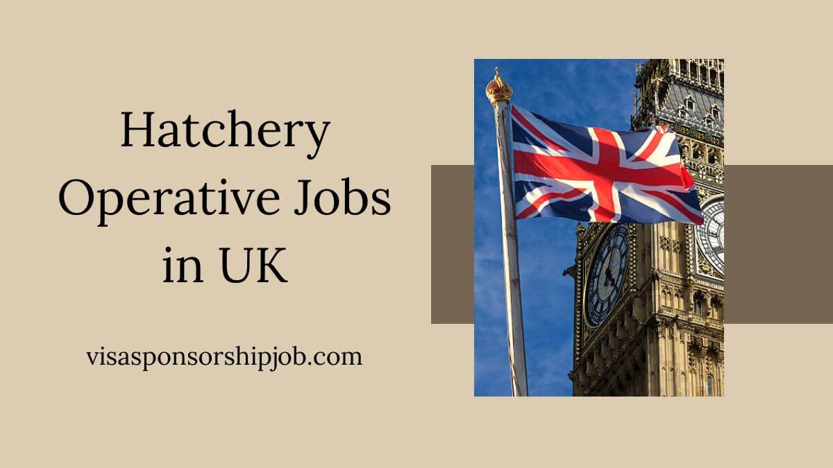 Hatchery Operative Jobs in UK