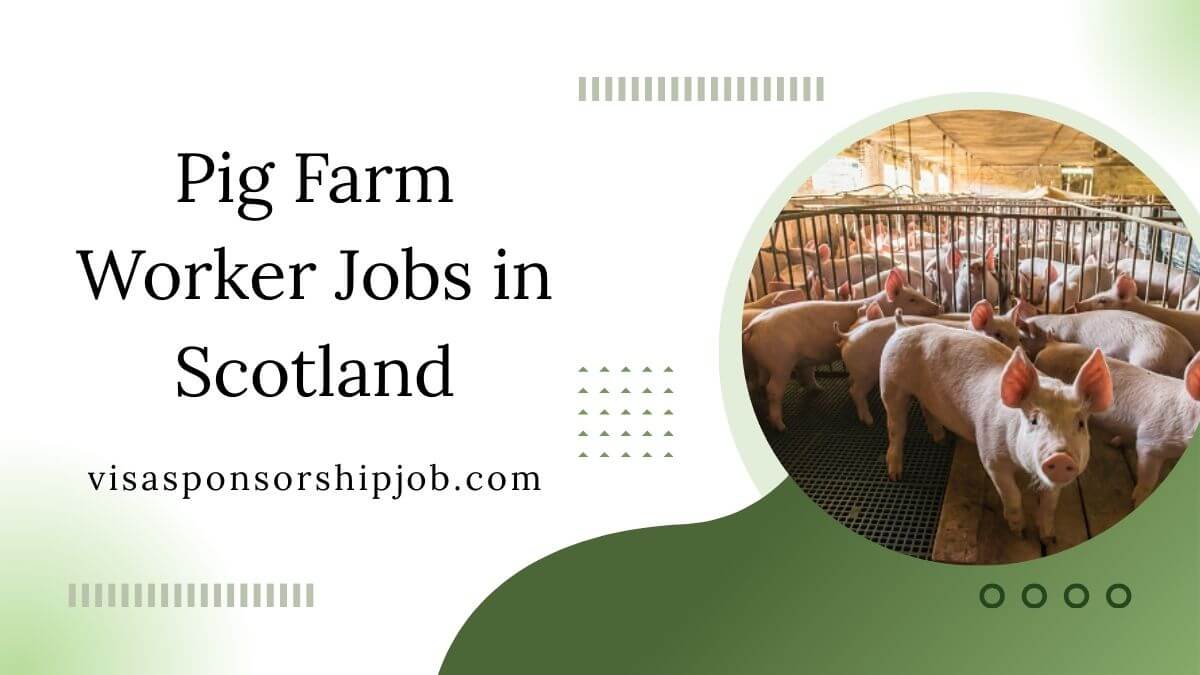 Pig Farm Worker Jobs in Scotland