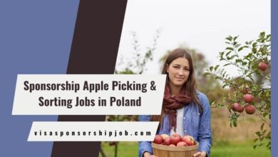 Sponsorship Apple Picking & Sorting Jobs in Poland