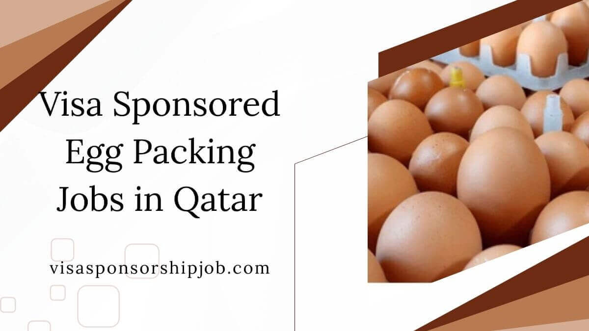 Visa Sponsored Egg Packing Jobs in Qatar