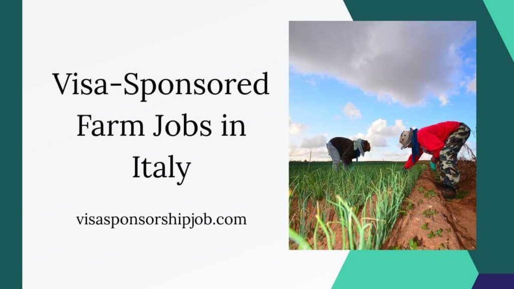 Visa-Sponsored Farm Jobs in Italy