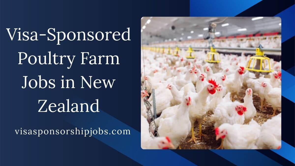 Visa-Sponsored Poultry Farm Jobs in New Zealand