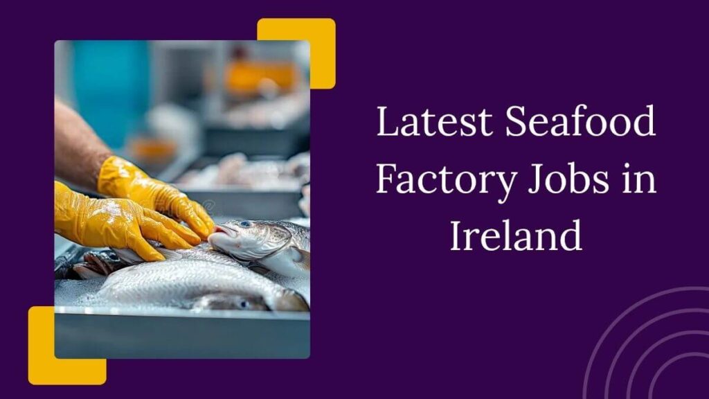 Latest Seafood Factory Jobs in Ireland