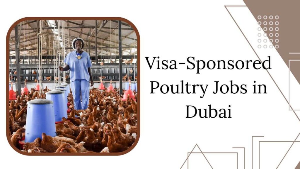Visa-Sponsored Poultry Jobs in Dubai