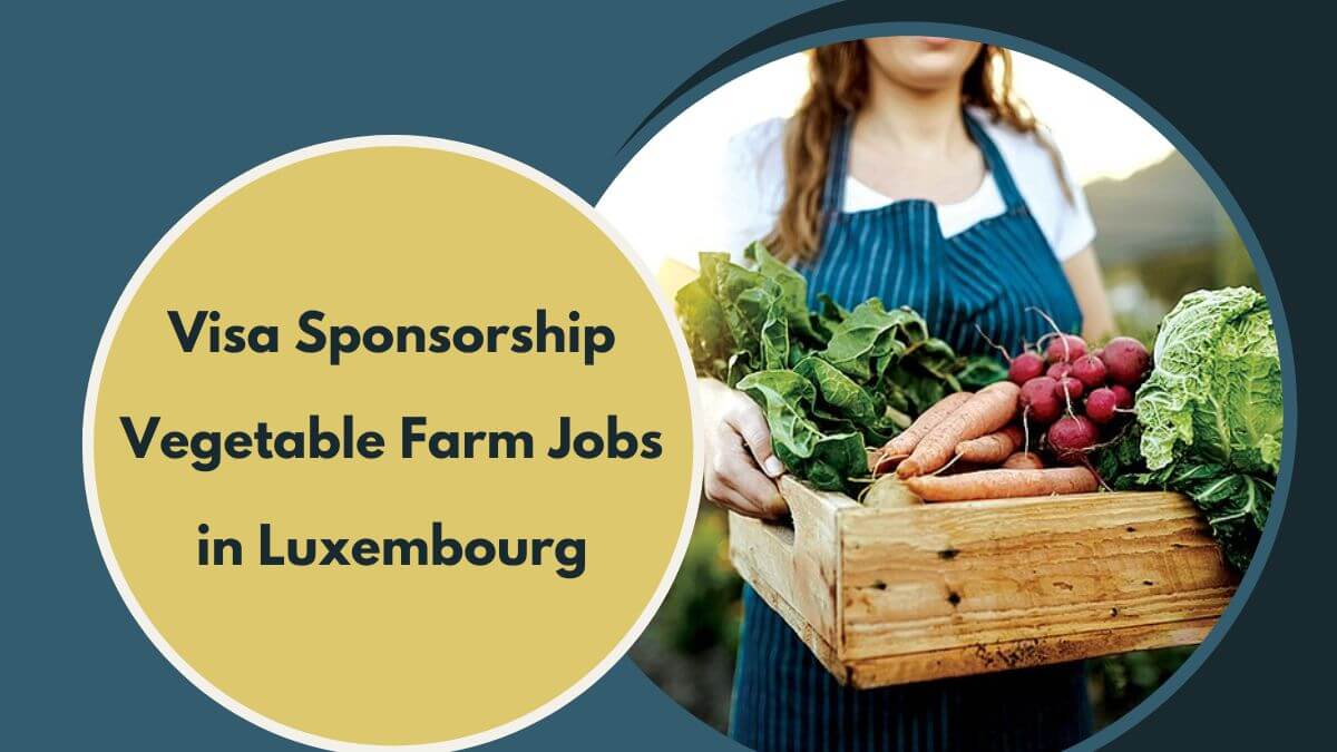 Visa Sponsorship Vegetable Farm Jobs in Luxembourg