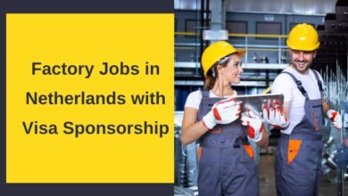 Factory Jobs in Netherlands with Visa Sponsorship