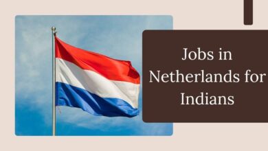 Jobs in Netherlands for Indians