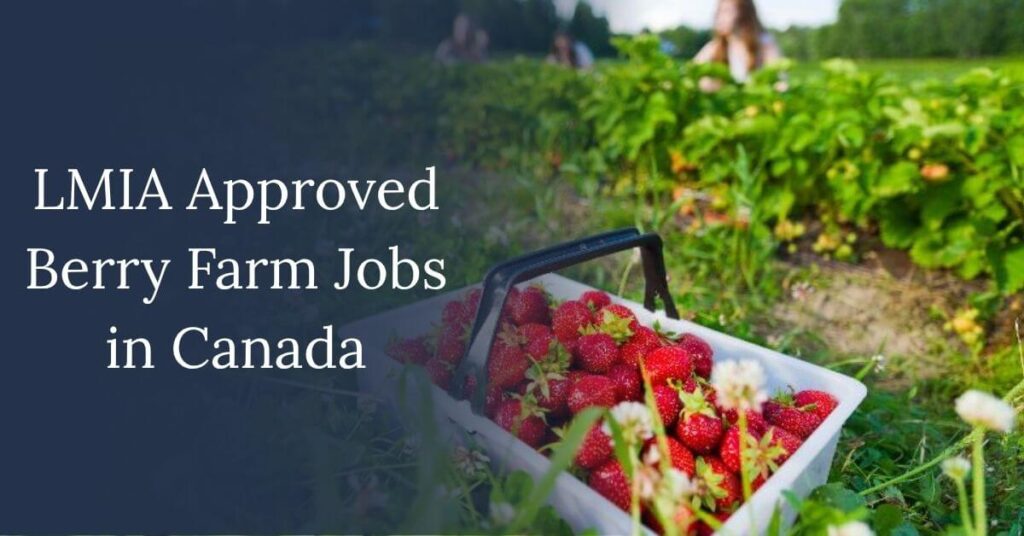 LMIA Approved Berry Farm Jobs in Canada