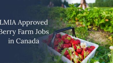 LMIA Approved Berry Farm Jobs in Canada