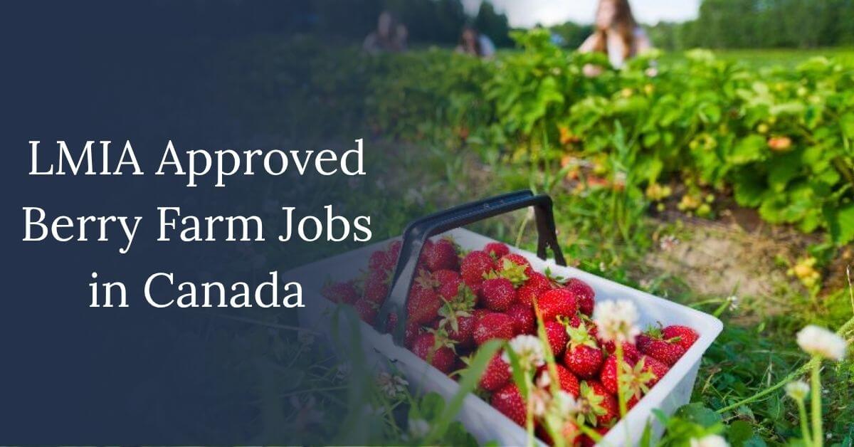 LMIA Approved Berry Farm Jobs in Canada