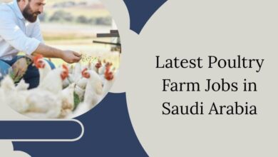 Latest Poultry Farm Jobs in Saudi Arabia