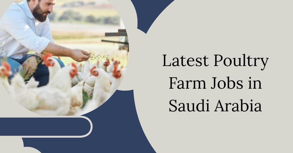 Latest Poultry Farm Jobs in Saudi Arabia