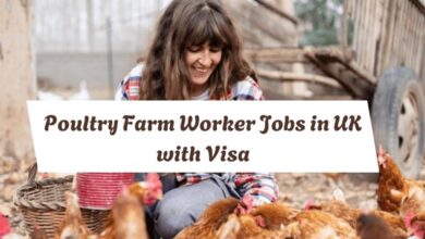 Poultry Farm Worker Jobs in UK with Visa