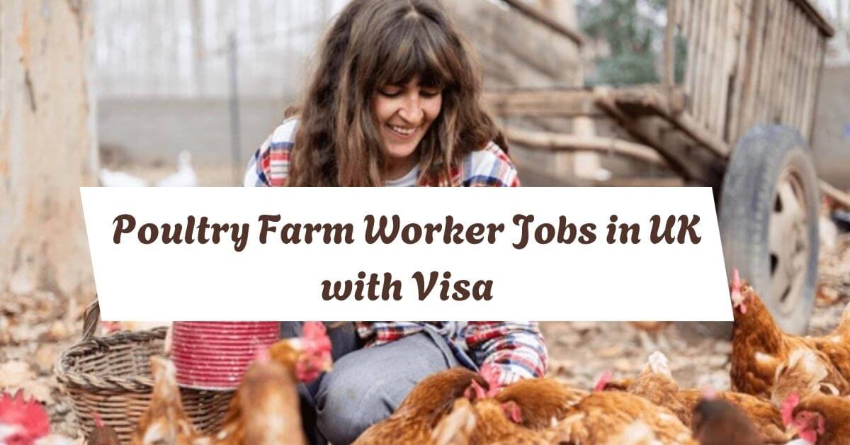 Poultry Farm Worker Jobs in UK with Visa