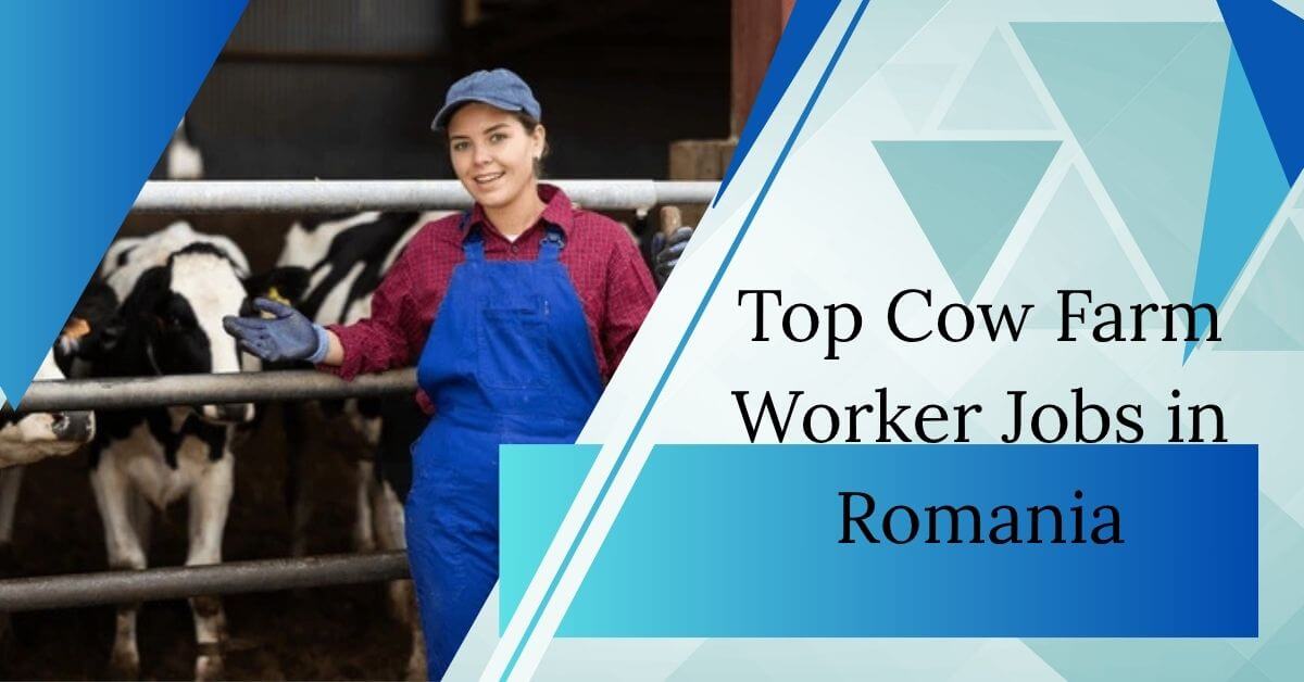 Top Cow Farm Worker Jobs in Romania